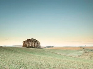 WildWood Mobile Sauna Hire Frome somersetfarm at avebury