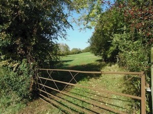 WildWood Mobile Sauna Hire Frome somersetradford mill