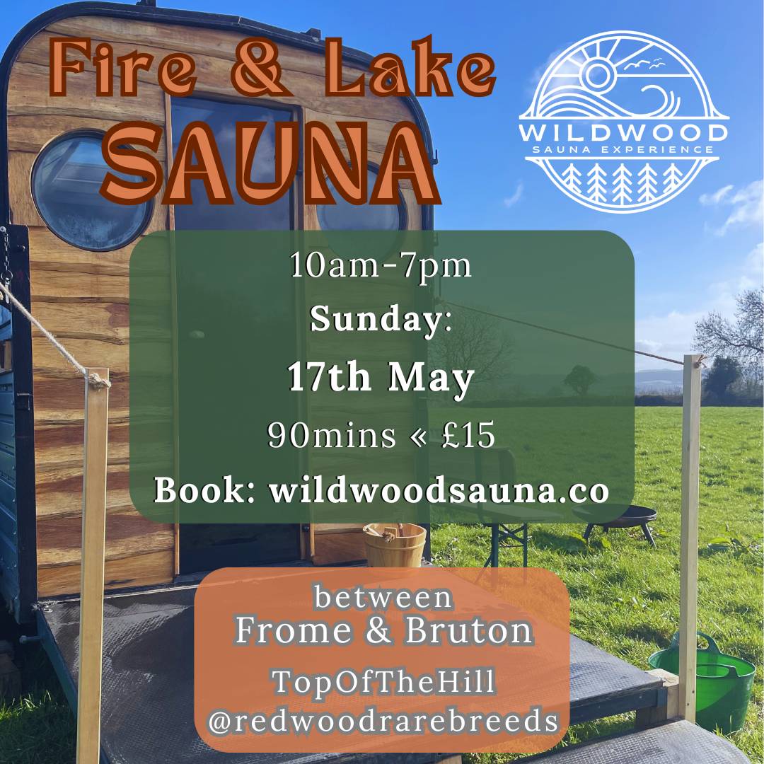 Wild Wood Sauna Flyer-9